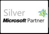 Microsoft Silver logo